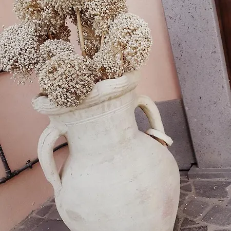 La Lumachella *